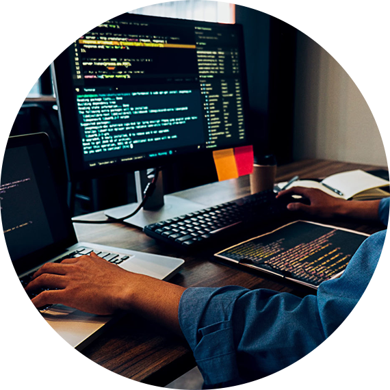 Web Development