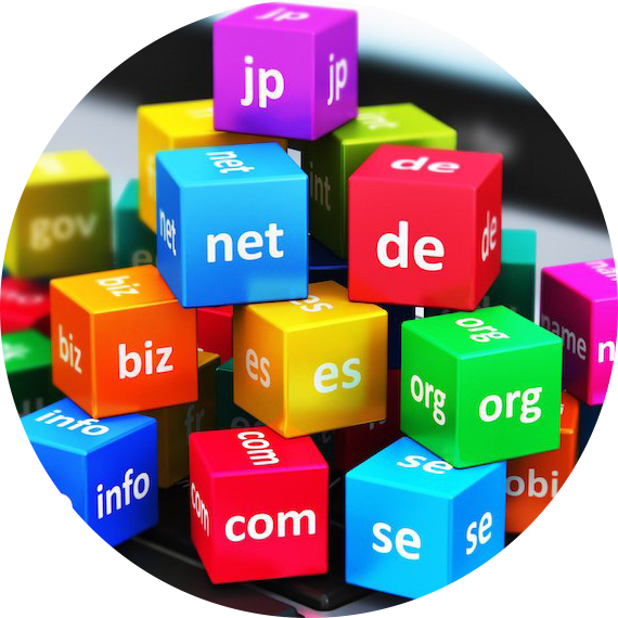 Book Domain & Hosting